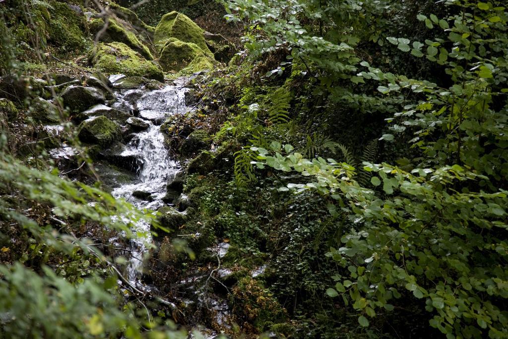 Landhaus Bad Bertrich Bagian luar foto