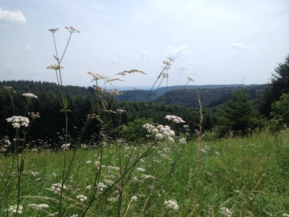 Landhaus Bad Bertrich Bagian luar foto